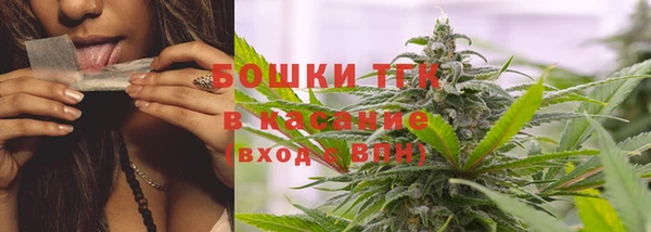 прущие грибы Верхний Тагил